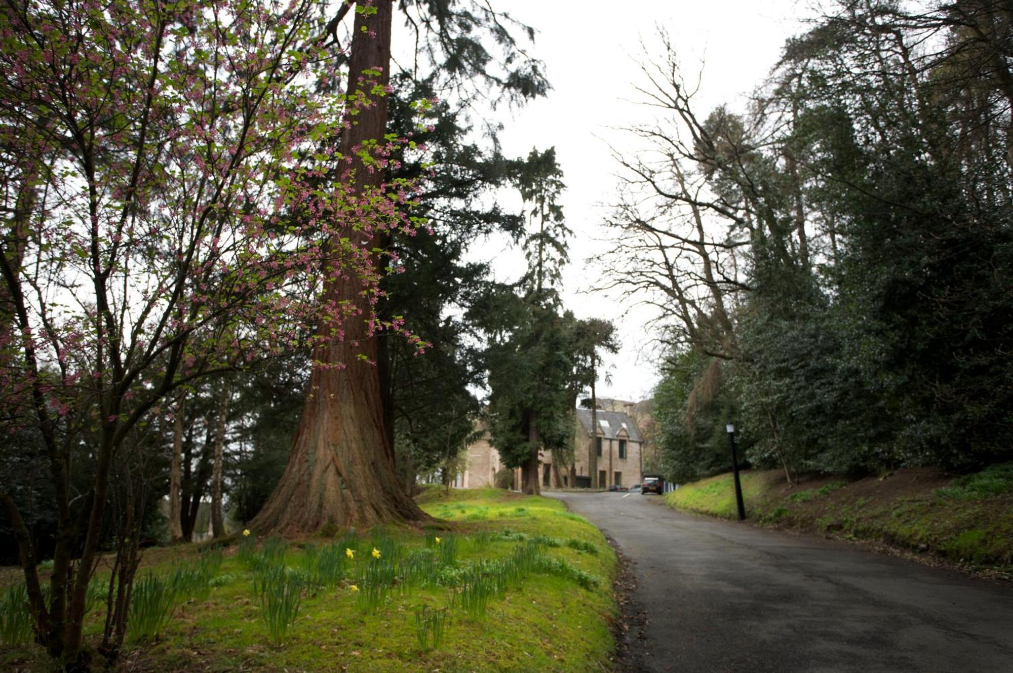 Broomhall Castle Hotel Стерлинг Экстерьер фото